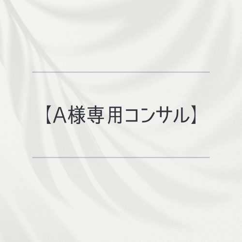 【A様専用コンサル】