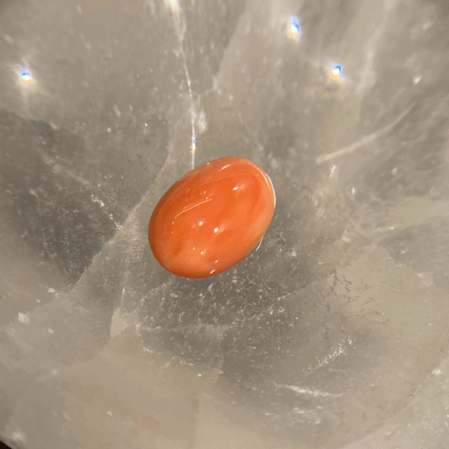 天然石　サンゴ　ルース 10.58ct
