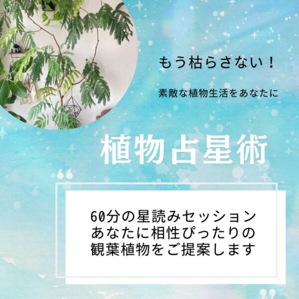 植物占星術 Zoomセッション60分