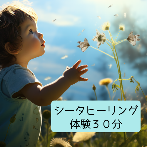 初めての方限定！シータヒーリング®️３０分体験セッション