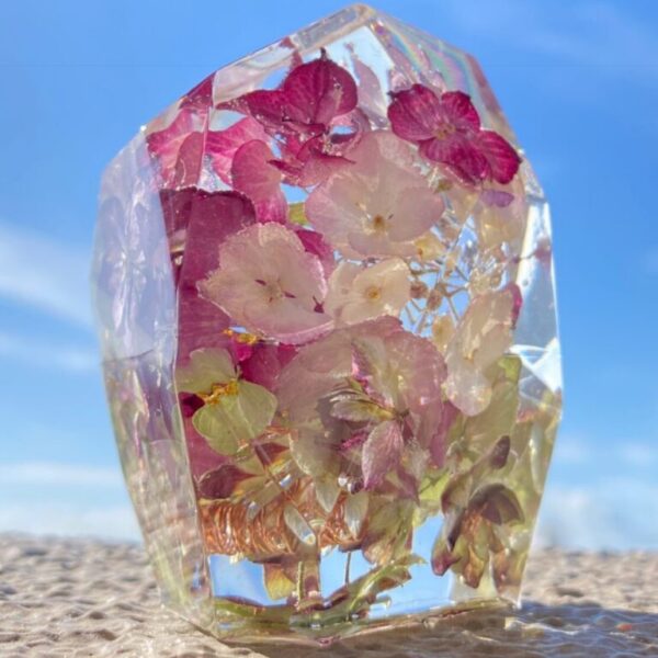 紫陽花