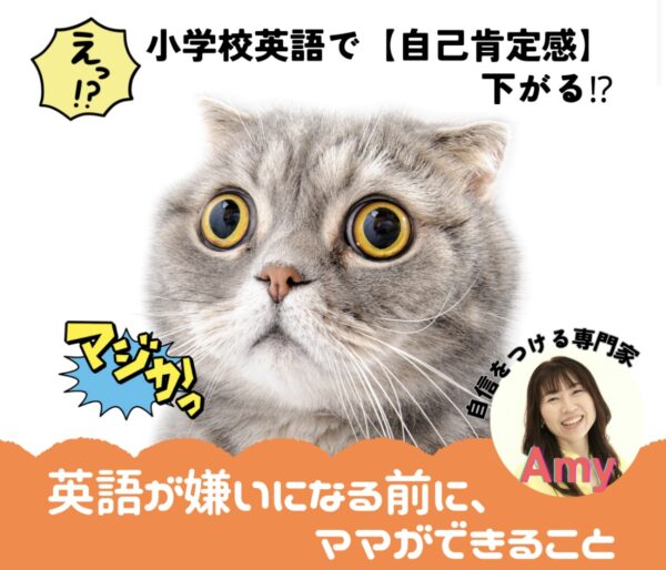 ママが知っておきたい小学校外国語授業の落とし穴【6/26(木)13時〜14時】