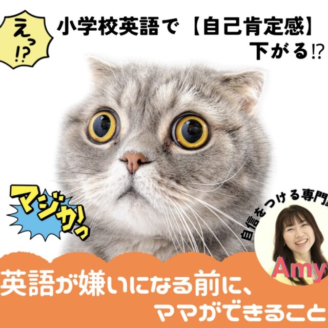 ママが知っておきたい小学校外国語授業の落とし穴【6/26(木)13時〜14時】