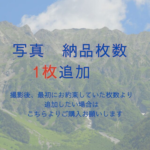写真　納品枚数　１枚追加