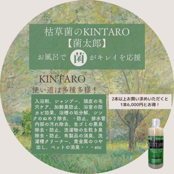 KINTARO　神社から発見された菌　