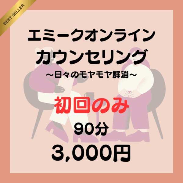 エミークカウンセリングセッション（初回90分）