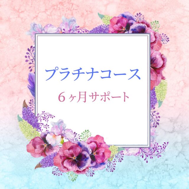 プラチナコース　6ヶ月サポート