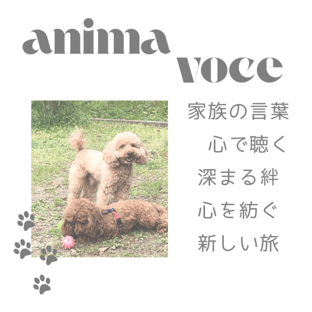 アニマルコミュニケーション