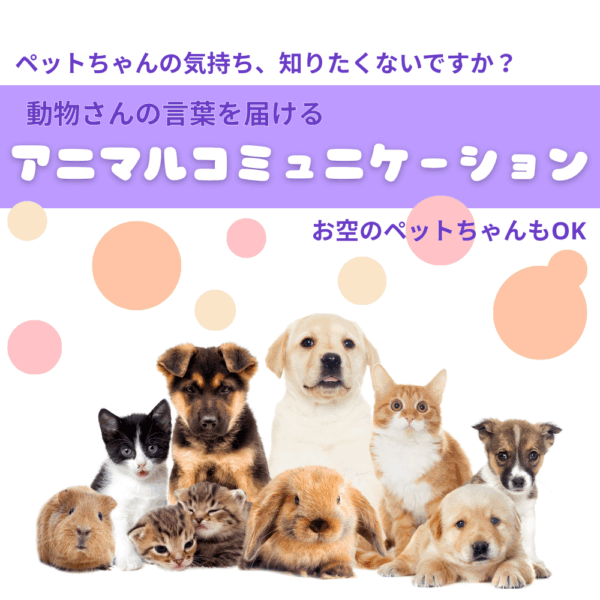 アニマルコミュニケーション