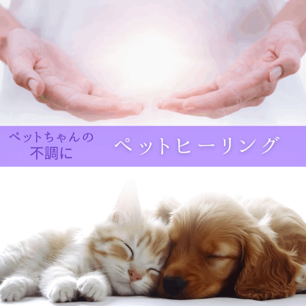ペットヒーリング