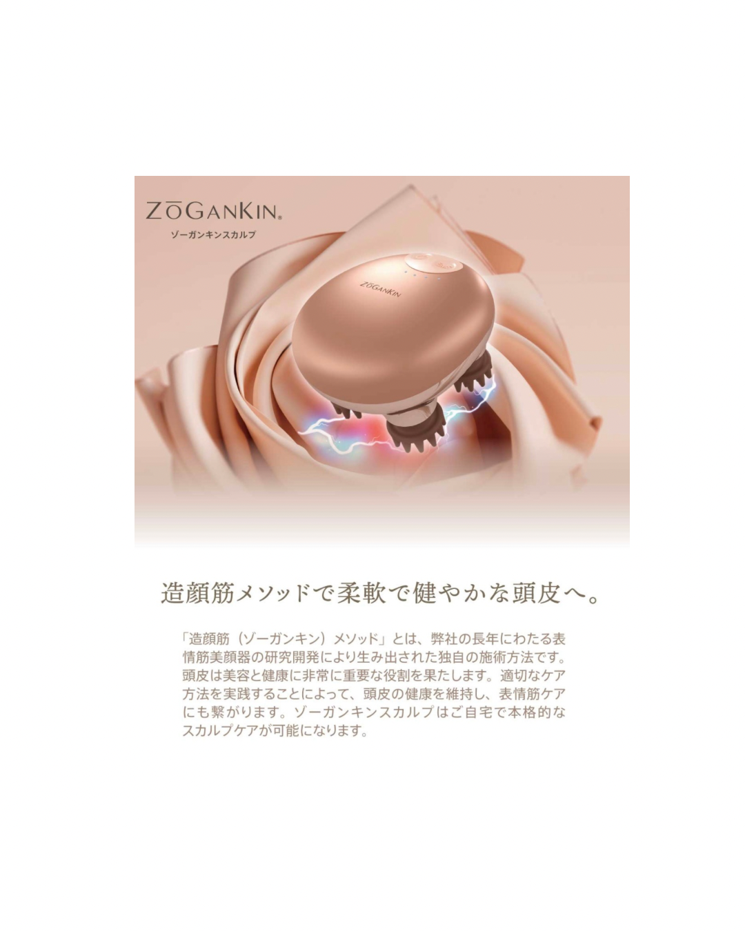 ヘッド＆ボディ美顔器 ZOGANKIN 正規品