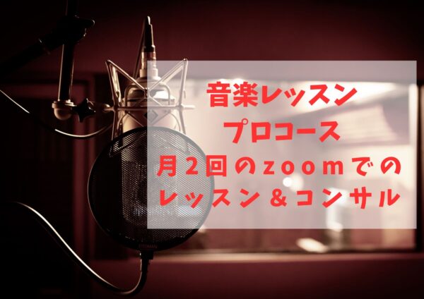 音楽レッスン プロコース(月2回)