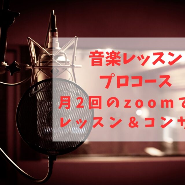 音楽レッスン プロコース(月2回)