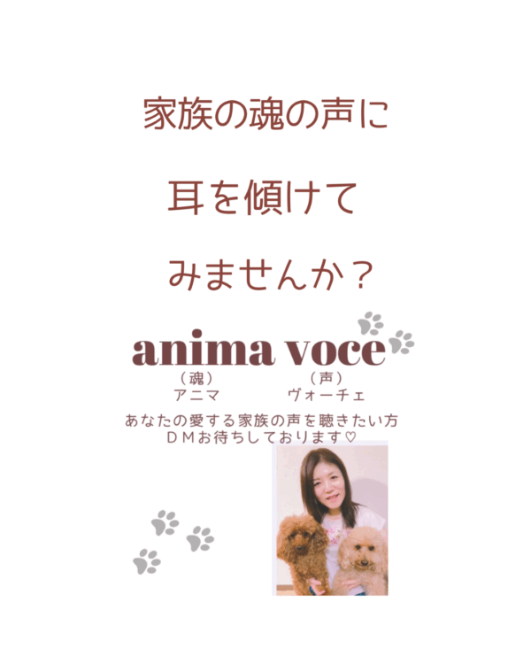 tidy.shinメンバー限定♡今週のひとこと