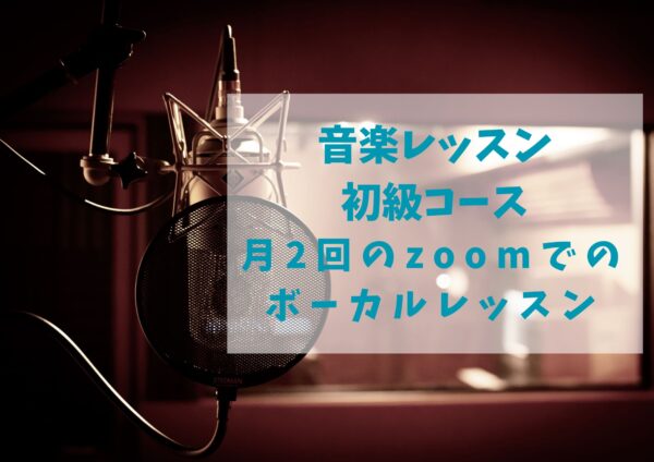 音楽レッスン 初級（月2回）