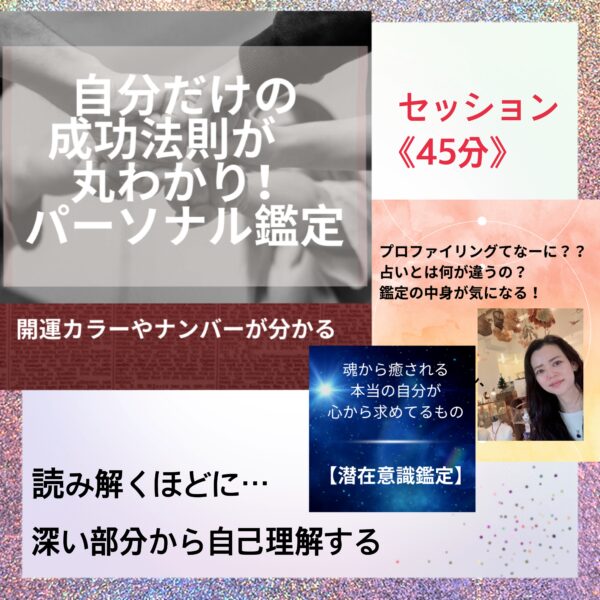 プロファイリングセッション45分
