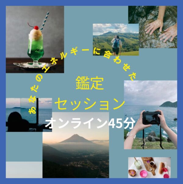 オンラインセッション45分