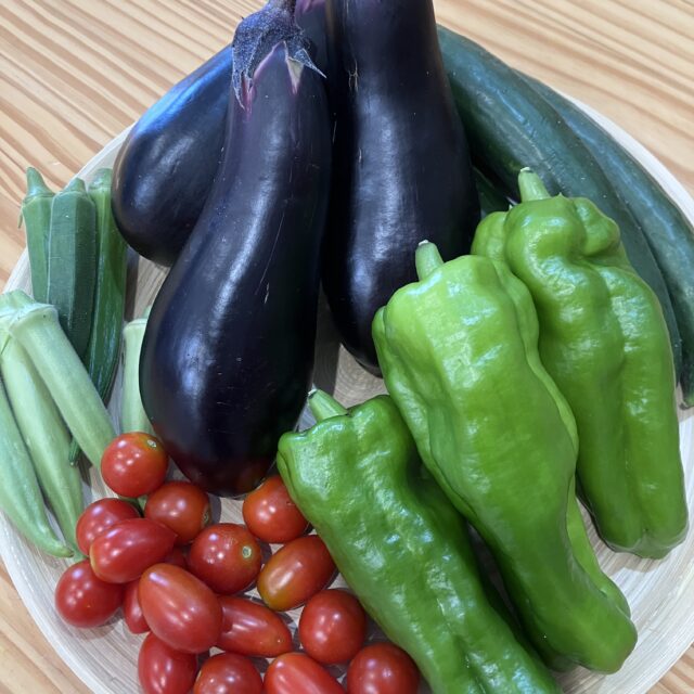 【おためし】夏野菜セット