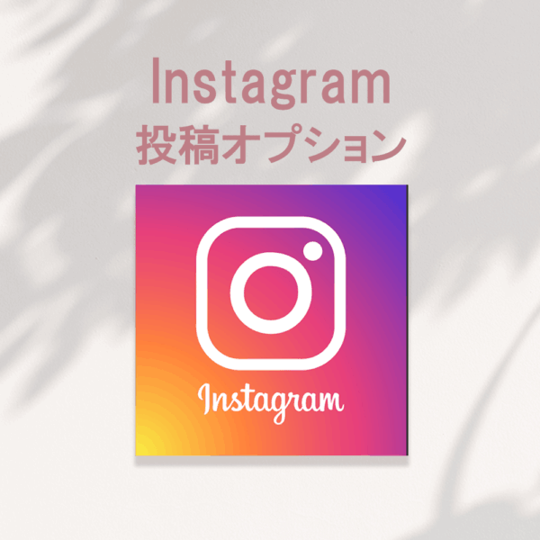 保護中: Instagram　投稿オプション