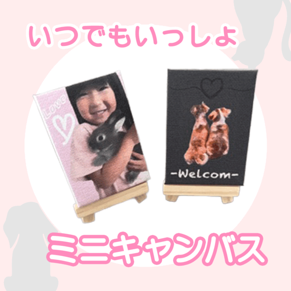 いつでもいっしょ♡ミニキャンバス
