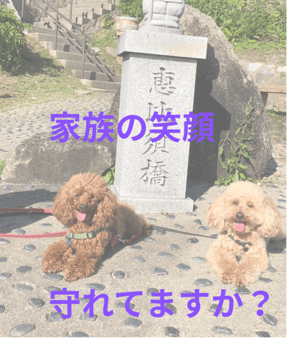 犬猫の歯磨きレッスン【10/16(木)20時〜21時】