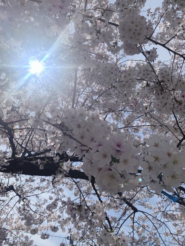 新時代を牽引していくあなたへ～新時代への準備　完全ガイド～