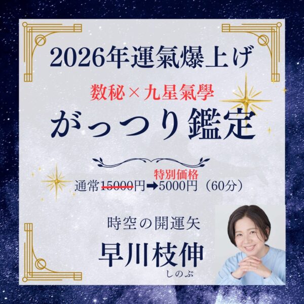 ♦2026年運氣爆上げ、がっつり鑑定♦by早川枝伸