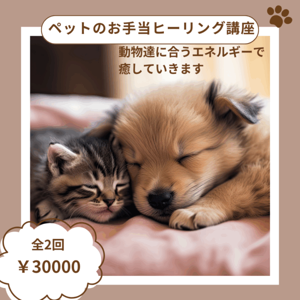 ペットさんのお手当ヒーリング講座