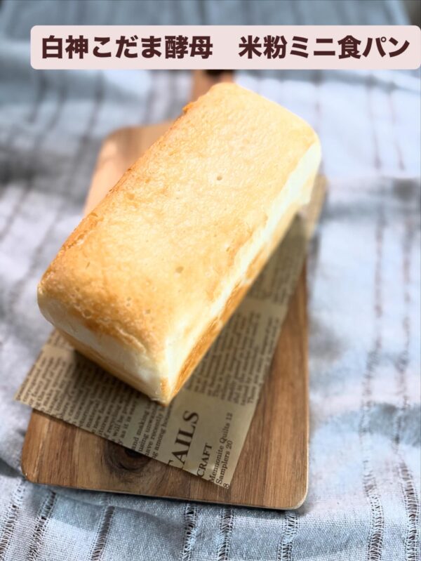 国産酵母の米粉ミニ食パン　送料込