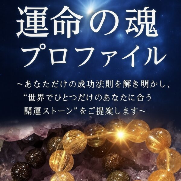 運命の魂プロファイル〜あなただけの成功法則を解き明かします