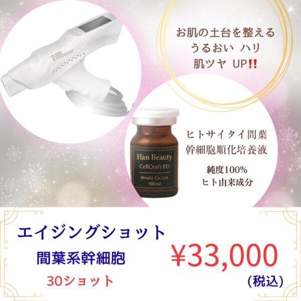 エイジングショット