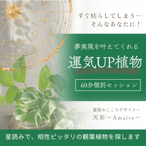 今すぐ運気UP！植物セッション