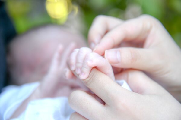 【長期撮影プラン】1年の間に4回撮影に伺います📸