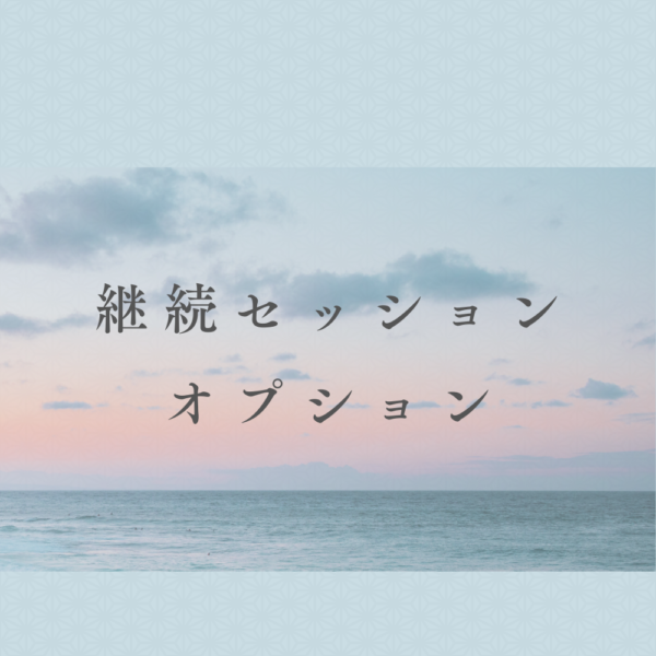 継続セッション　オプション