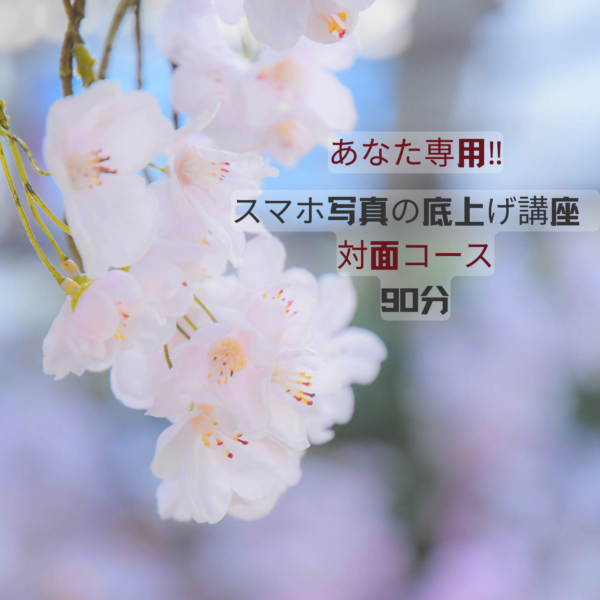 あなた専用‼ スマホ写真の底上げ講座（対面90分）