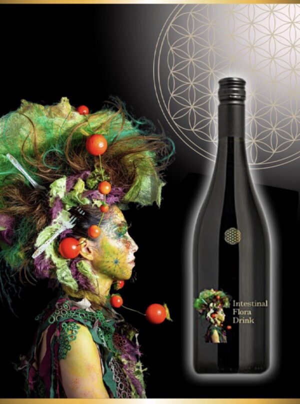 DRエクソソームドリンク・ジンジャー(送料込み)