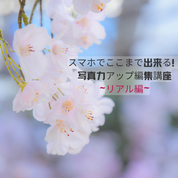 スマホでここまで出来る！写真力アップ編集講座（リアル編）