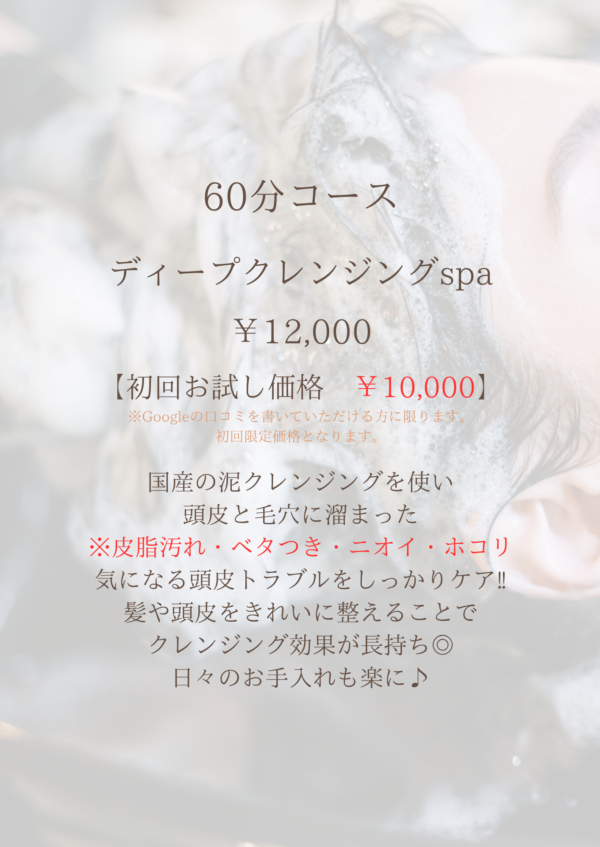 ディープクレンジング spa