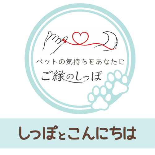 しっぽと”こんにちは”(ライト鑑定)