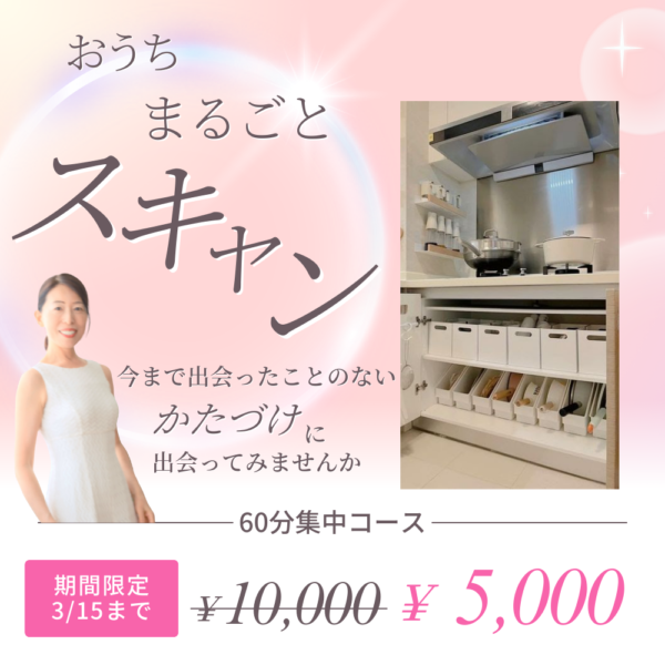 おウチ丸ごとスキャン60分集中サポートレッスン