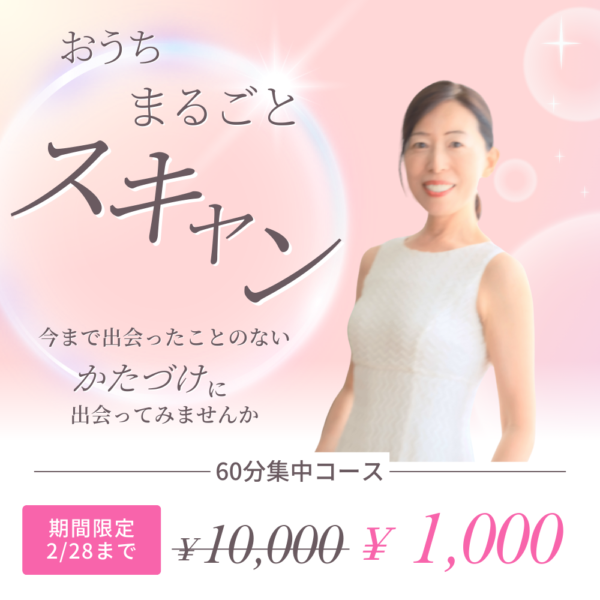 【イヤスタ限定】おうちまるごとスキャンオーダーメイドお片付け