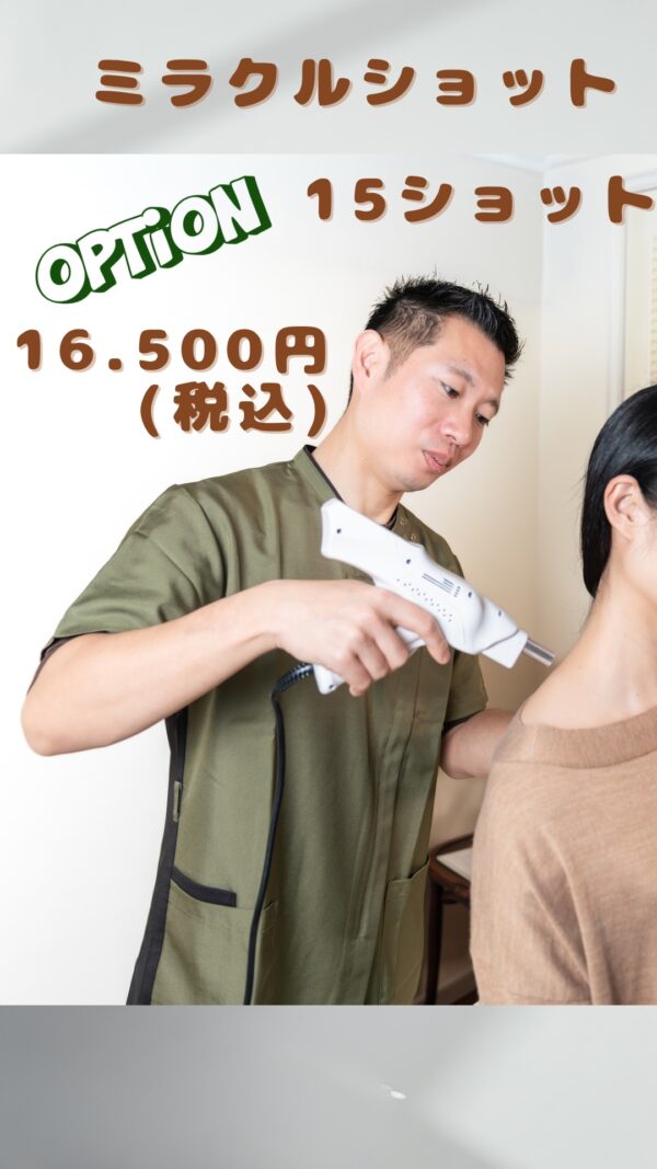 対面のみ💡    オプション✨  ミラクルショット🔫   15ショット