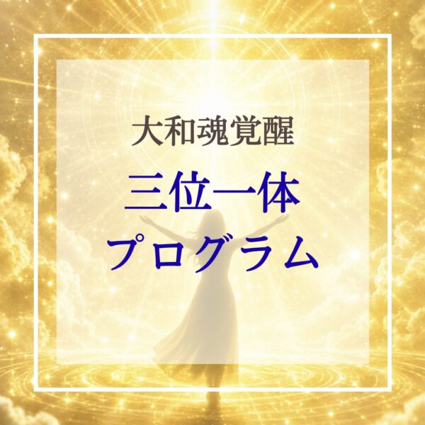 大和魂覚醒【三位一体プログラム】