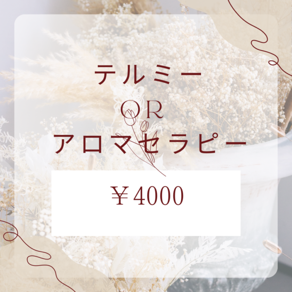 オプション　テルミーorアロマセラピー
