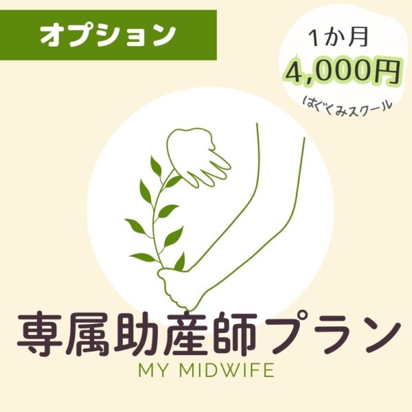 ≪オプション≫はぐくみスクールマタニティクラス【専属助産師】