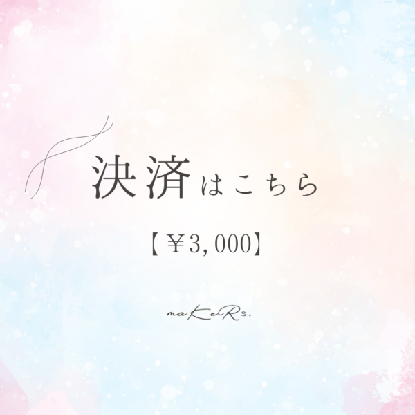 決済ページ  ¥3,000