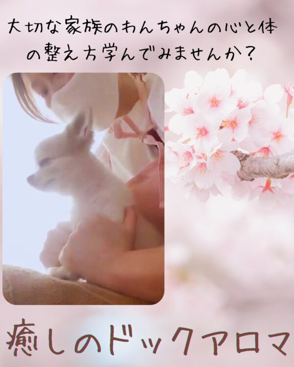 【イヤスタ限定】癒しのドックアロマ 心体調律®