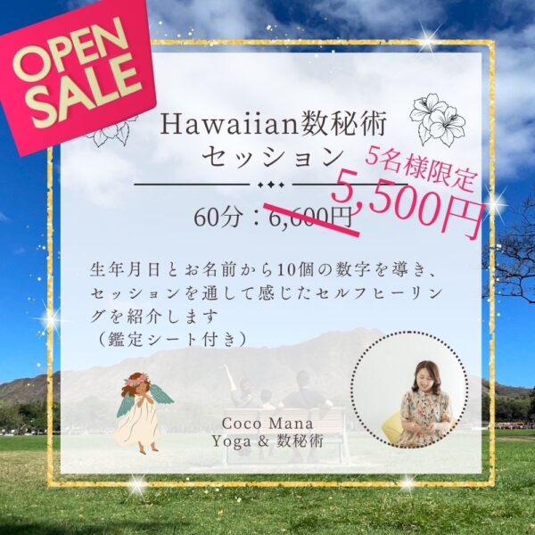 Hawaiian数秘術セッション60分