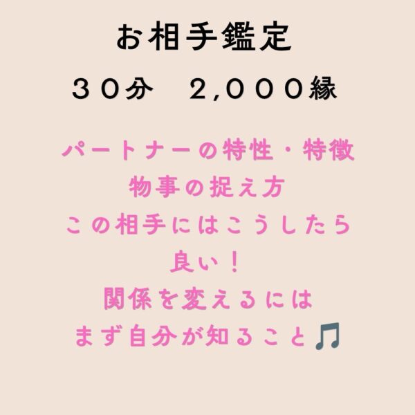 お相手鑑定【親子マヤ暦を受けた方のみ】