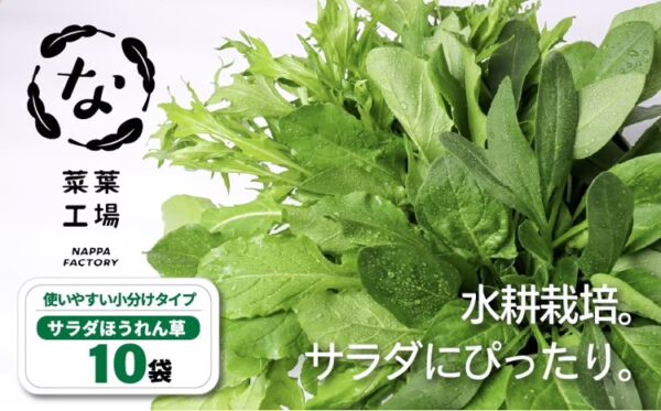 サラダほうれん草